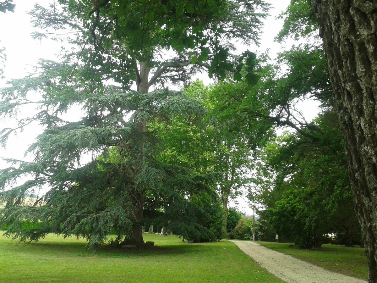 Gasthuis Orangerie Du Chateau Marith - Domaine Avec Piscine 3*