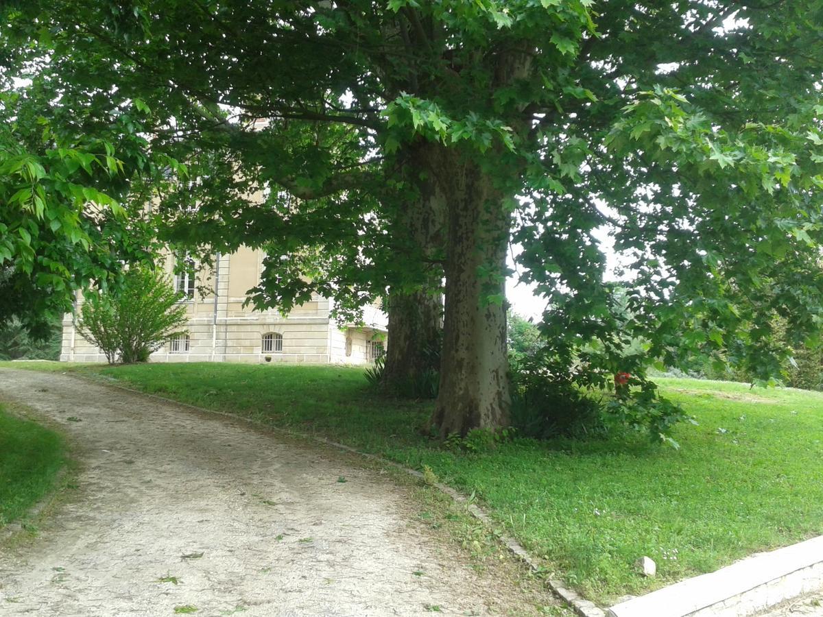 Orangerie Du Chateau Marith - Domaine Avec Piscine